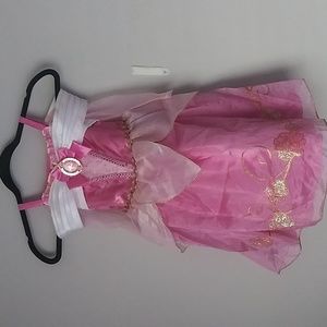 Disney Pink Princess Ball Gown